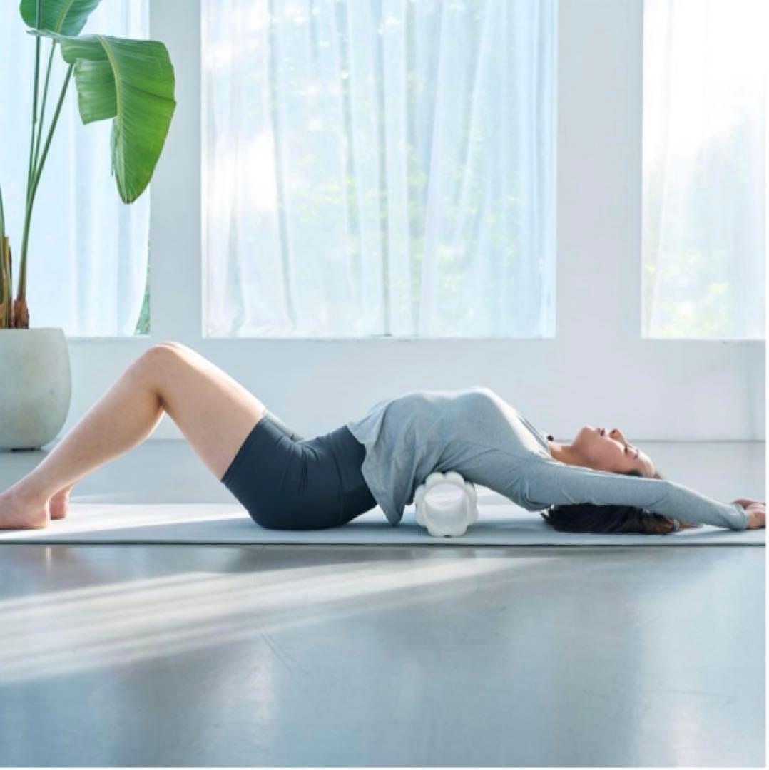 フィルローラー　FILAMENT（フィラメント）　川島悠希　通販の虎