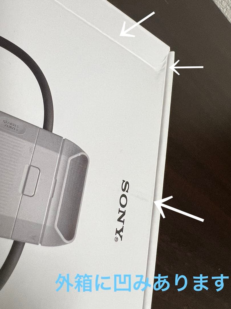 SONY REON POCKET PRO RNPK-P1 レオンポケットプロ