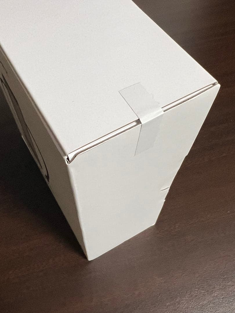 SONY REON POCKET PRO RNPK-P1 レオンポケットプロ