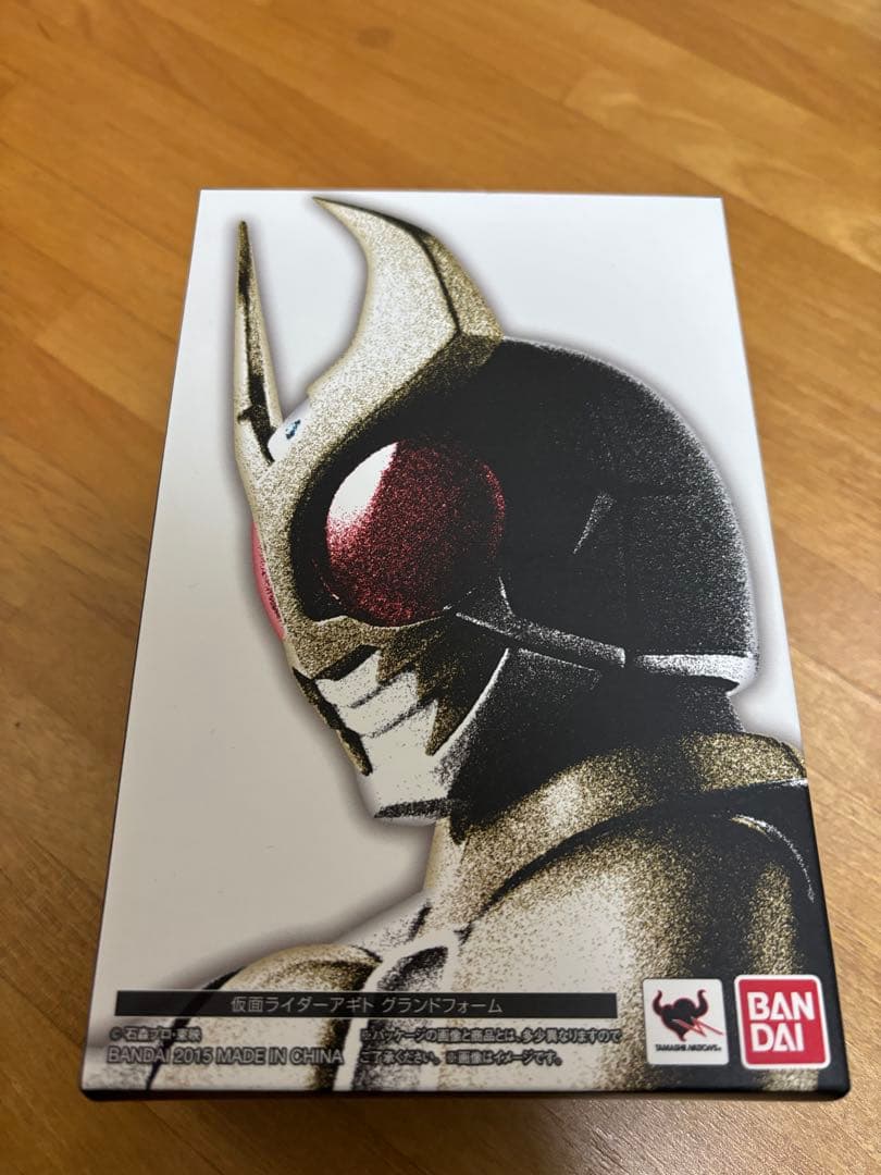 S.H.Figuarts 真骨彫製法　仮面ライダー アギト