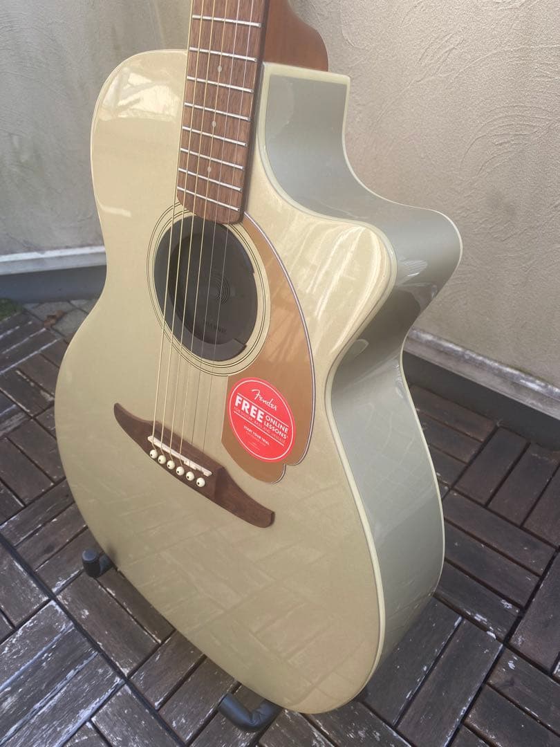 Fender Newporter Player (フェンダーニューポーター)