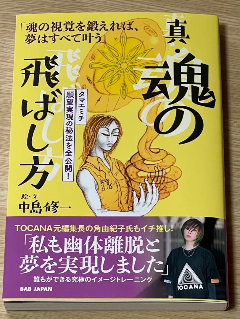 真・魂の飛ばし方 : 人生を自在に描く!タマエミチ・トレーニング