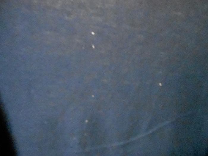 REBECCA レベッカ 2015 横浜アリーナ スタッフクルー Ｔシャツ