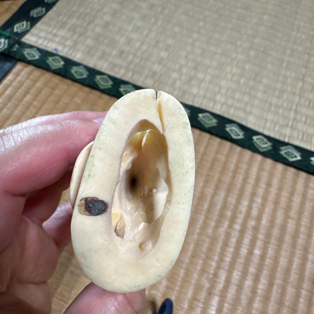 鯨の歯　鳥の彫刻 約15cm