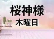 桜神様　木曜日