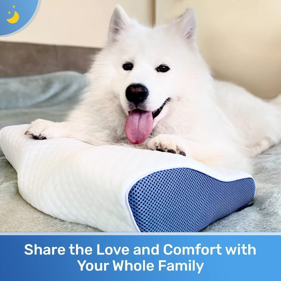 Derila デリラ 枕 ネックピロー ネックサポート枕 形状記憶フォーム枕