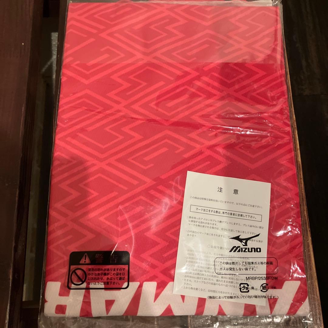 セレッソ大阪ユニフォームMizuno サッカージャージ P2JACY5041 L