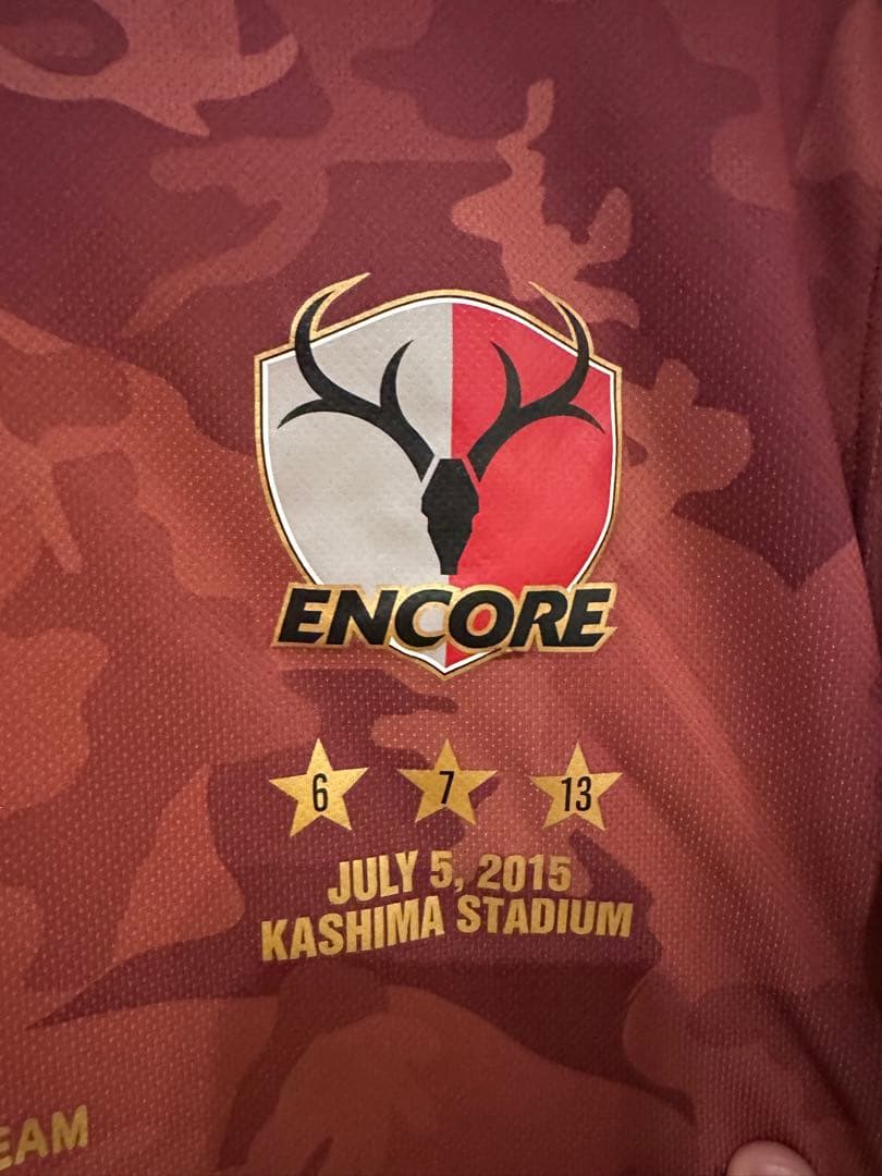 鹿島アントラーズ 柳沢敦 引退試合　記念ユニフォーム Lサイズ NIKE