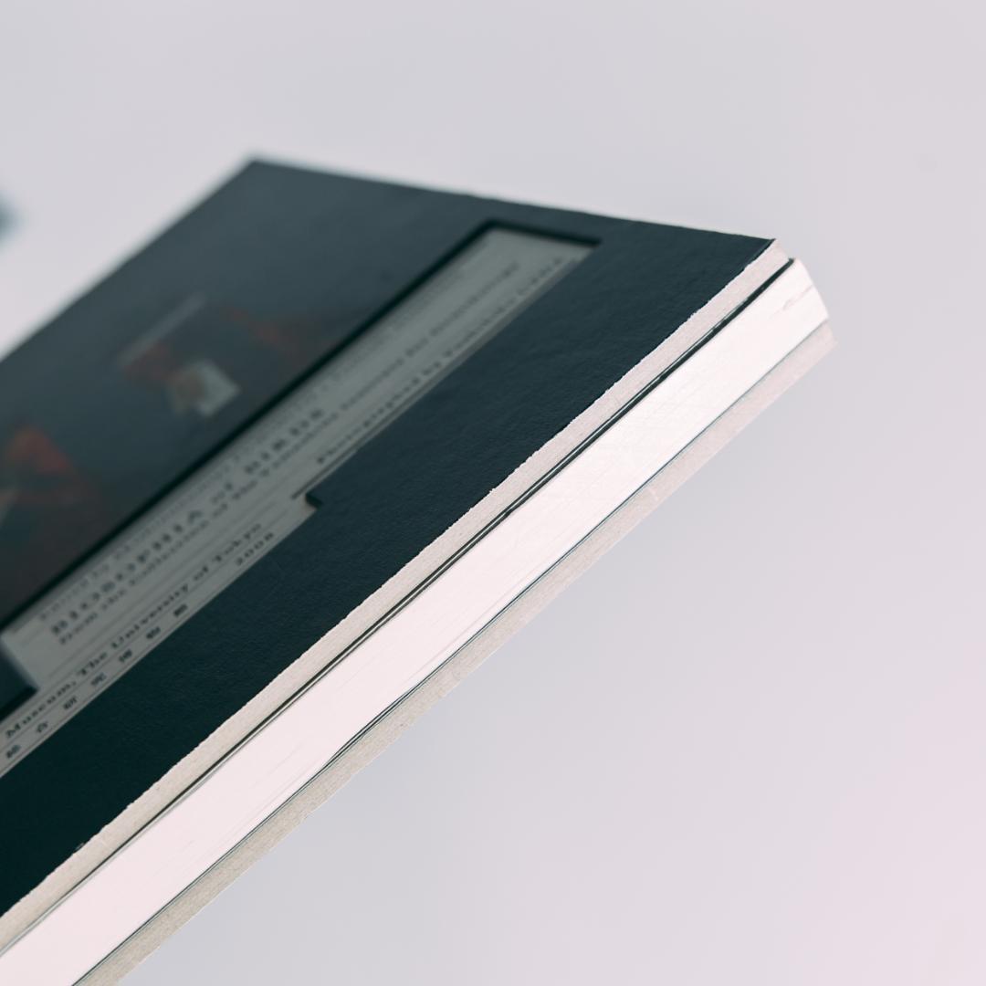 希少本 BIOSOPHIA of BIRDS : 上田義彦 原研哉