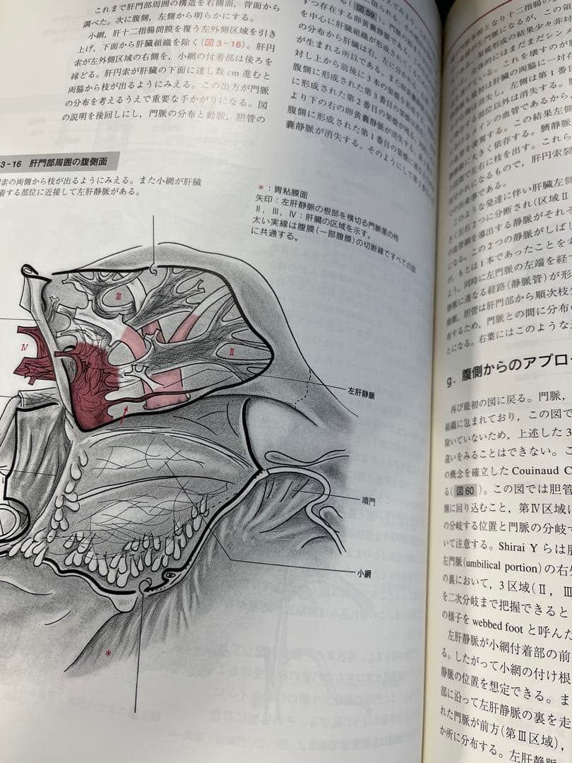 外科医のための局所解剖学序説