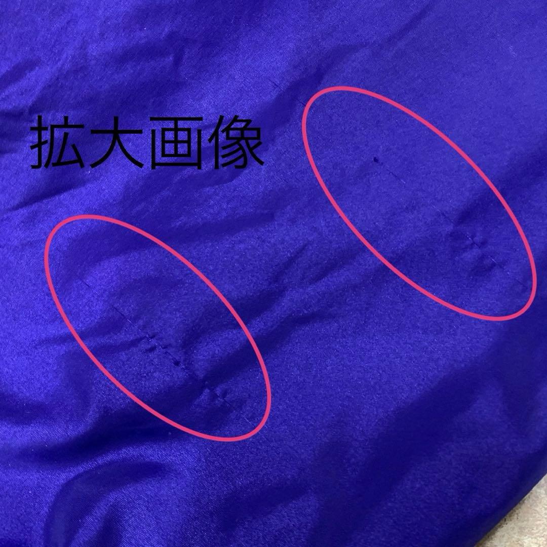 patagonia パタゴニア 〜90's USA シェルドシンチラジャケット