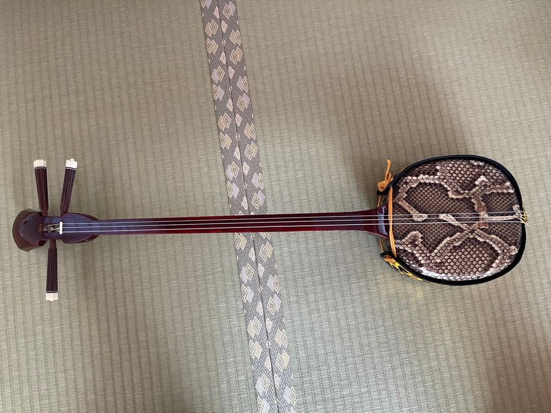 三線本体 ケース ストラップ 爪 予備弦 教本付き