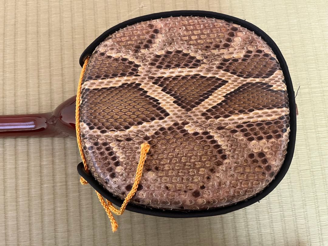 三線本体 ケース ストラップ 爪 予備弦 教本付き