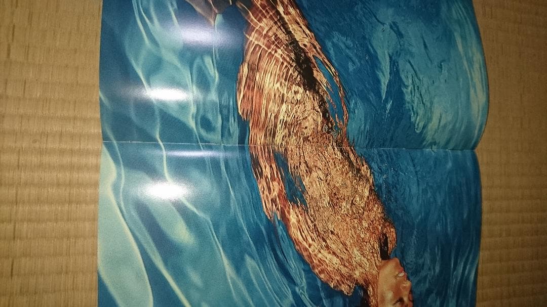 沢田研二  水の皮膚  写真集