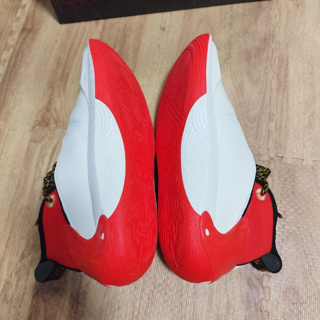 h*e様 Li-NING Way of Wade 11 US10.5 自宅にて試