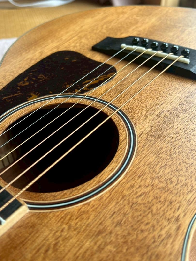 S.Yairi　『YM-03/MH』 マホガニー単板【極上品】