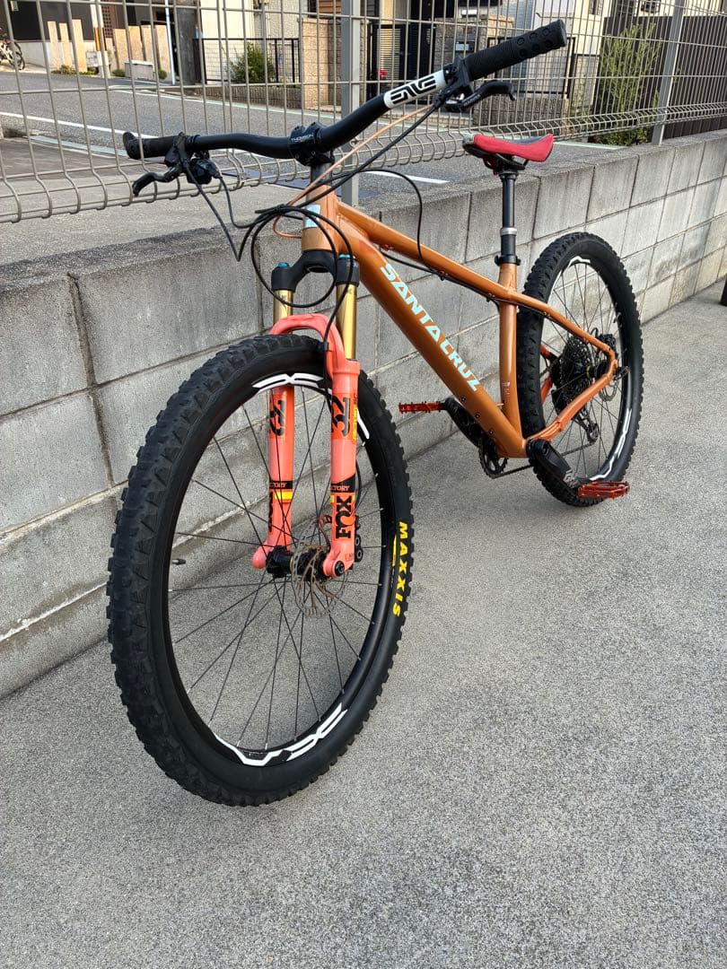 santacruz サンタクルズ chameleon カメレオン Mサイズ