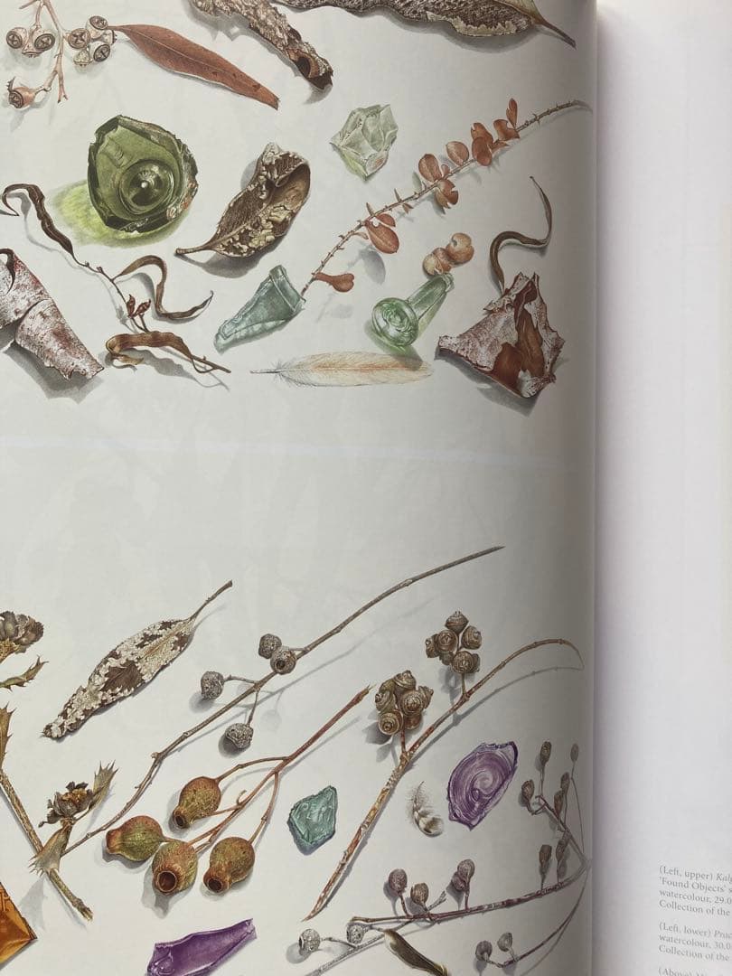 洋書 Brush With Gondwana