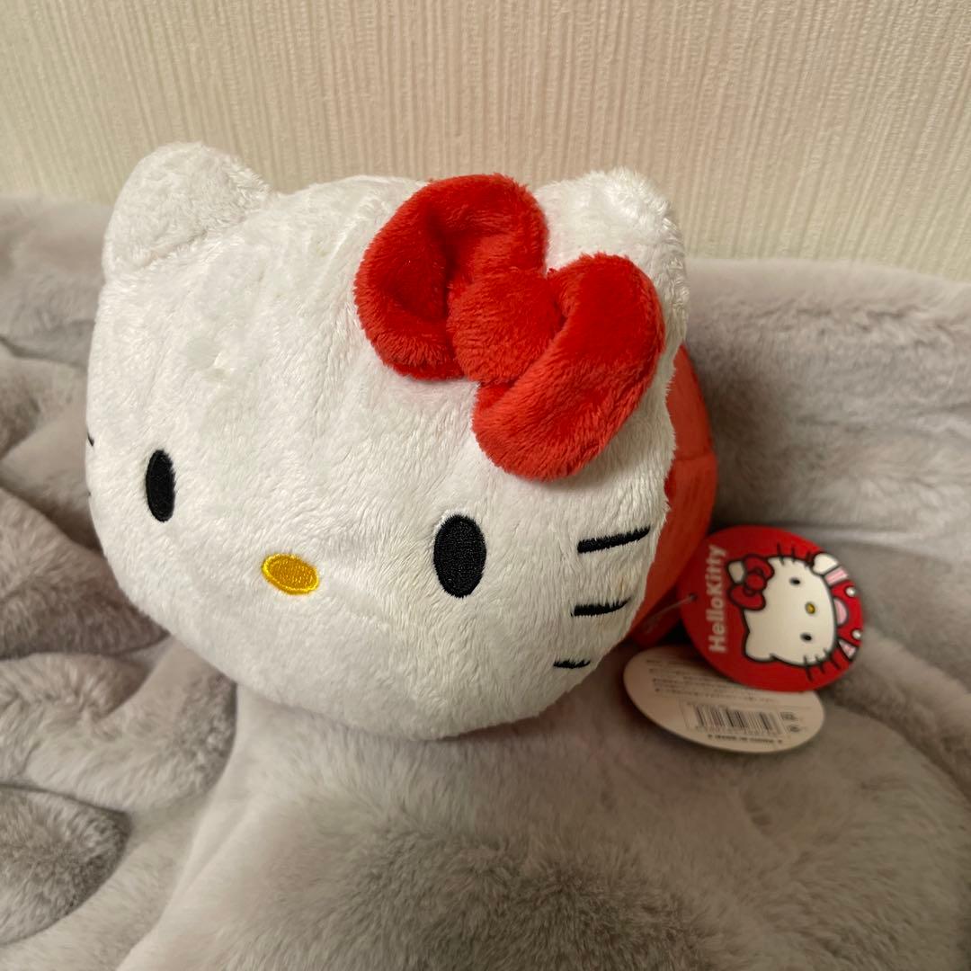 【希少・レア‼︎】ハローキティ/ジュエリーケース/日本限定/新品タグ付き