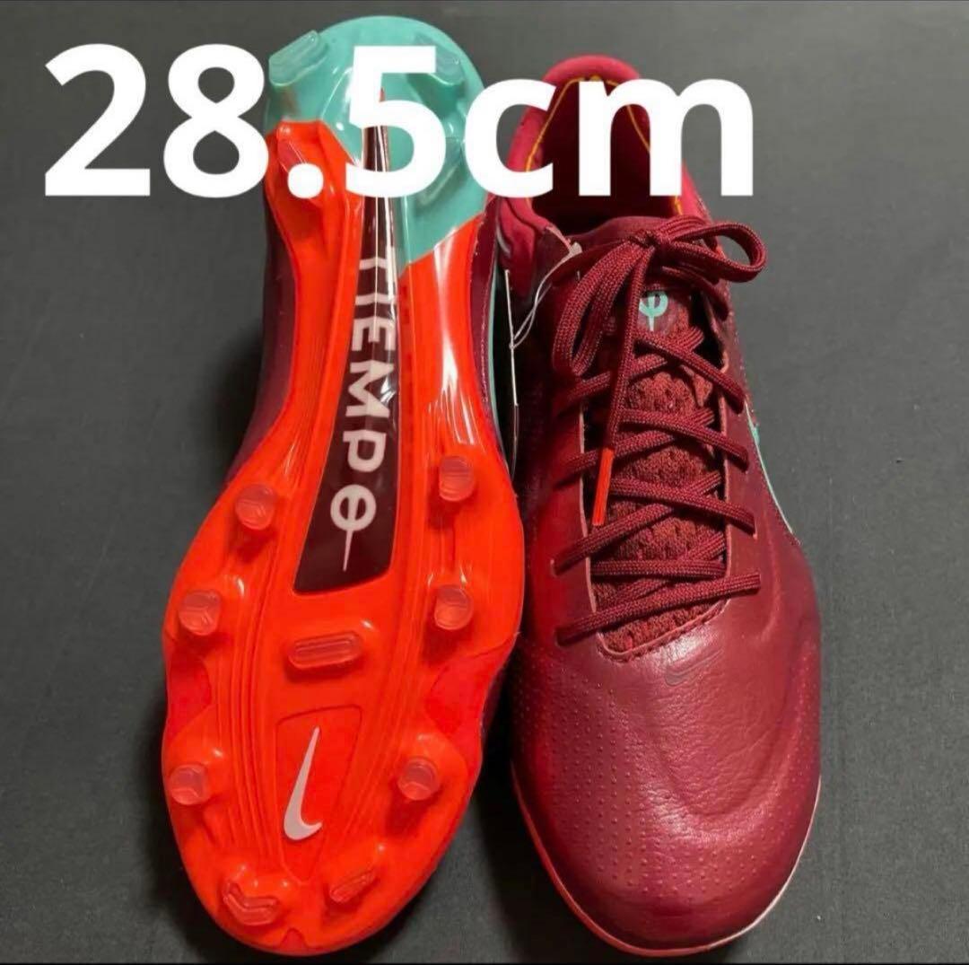 NIKE ティエンポレジェンド9 FG 28.5cm 146