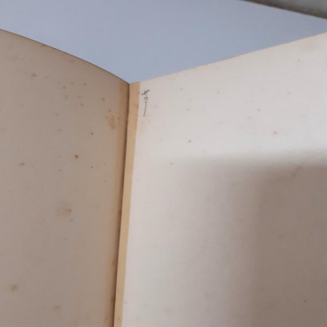 支那古玉図録　梅原末治