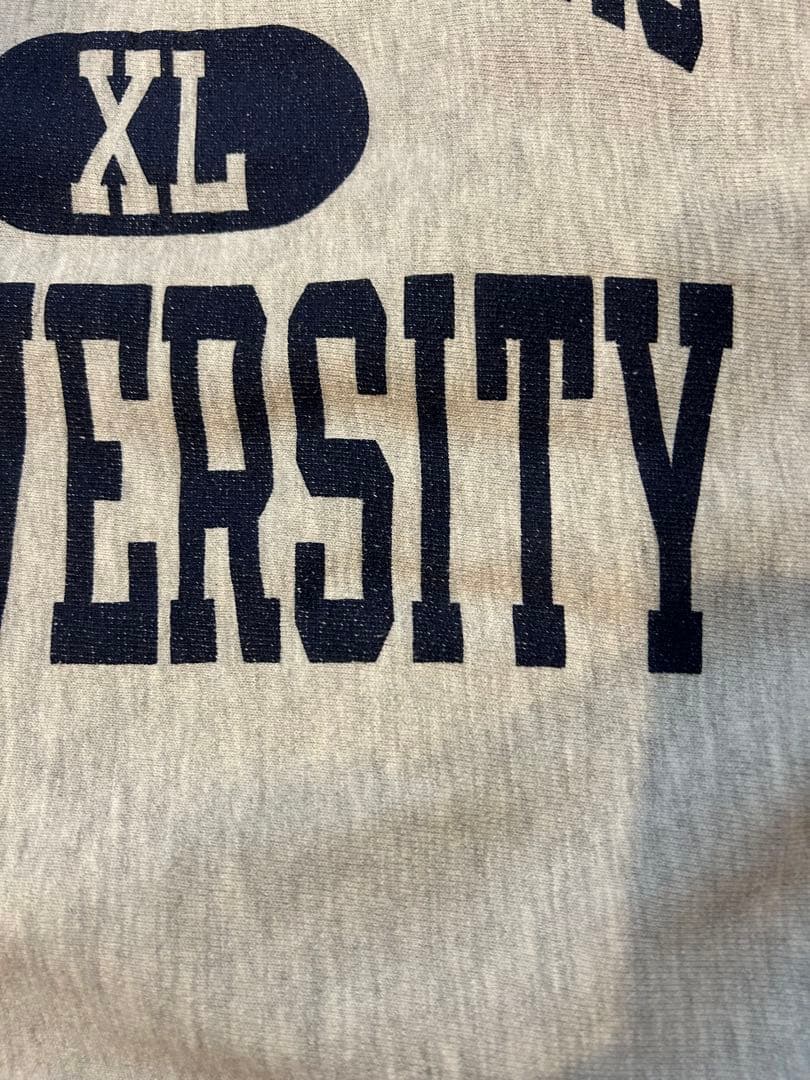 アーチ3段カプセル 90s 刺繍 Champion リバースウィーブ