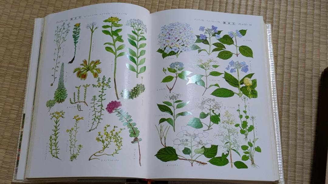 日本百科大事典 　 小学館