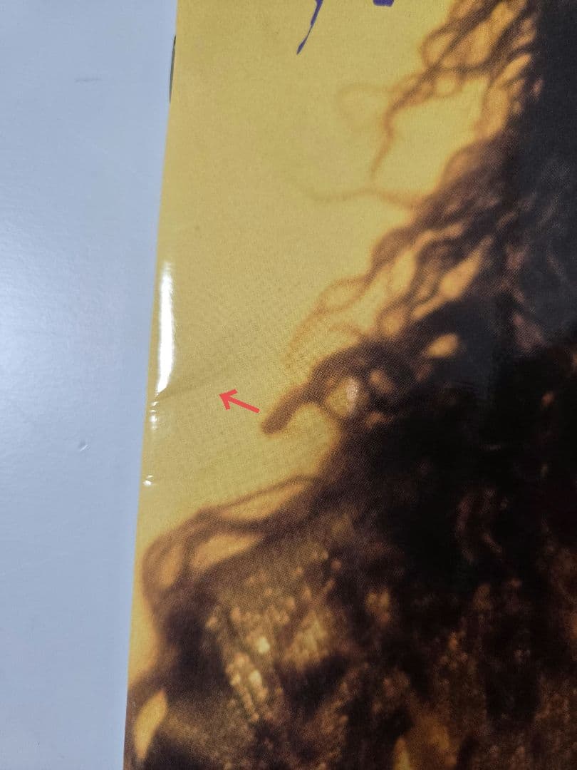 デッドオアアライブ　ツアーパンフ　DEAD OR ALIVE ピート・バーンズ