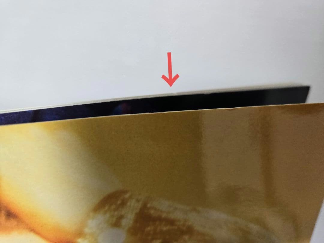 デッドオアアライブ　ツアーパンフ　DEAD OR ALIVE ピート・バーンズ