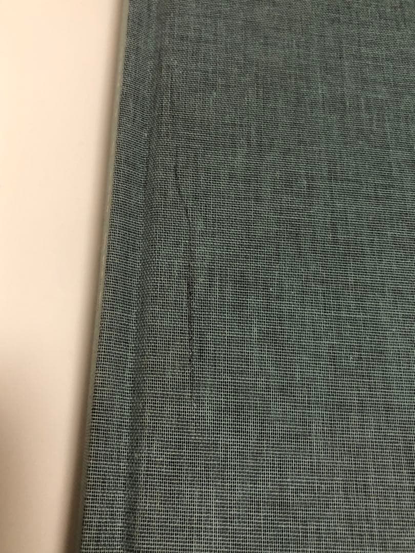 TINO RAZO 写真集　\" PARTY IN THE BACK \"