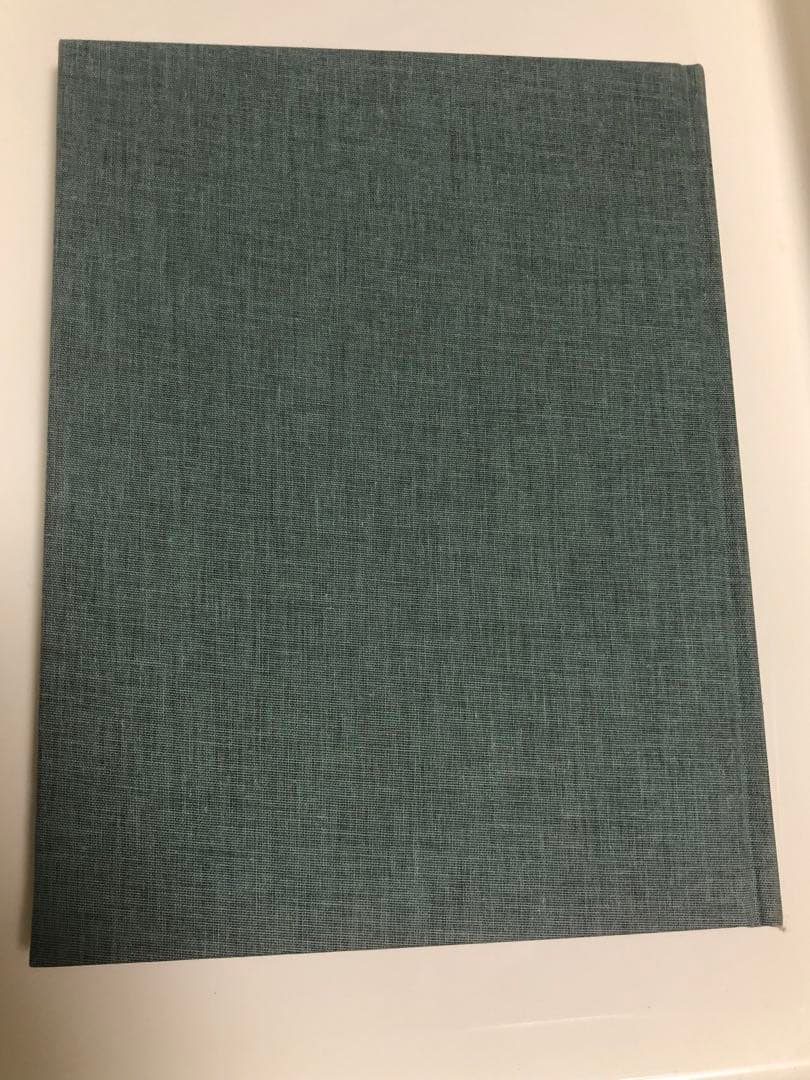 TINO RAZO 写真集　\" PARTY IN THE BACK \"