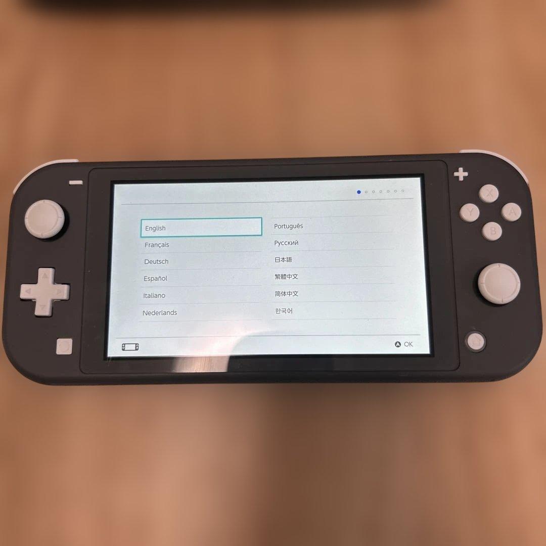 【中古】Switch Lite グレー＆ハードカバー＆アダプター【ジャンク】
