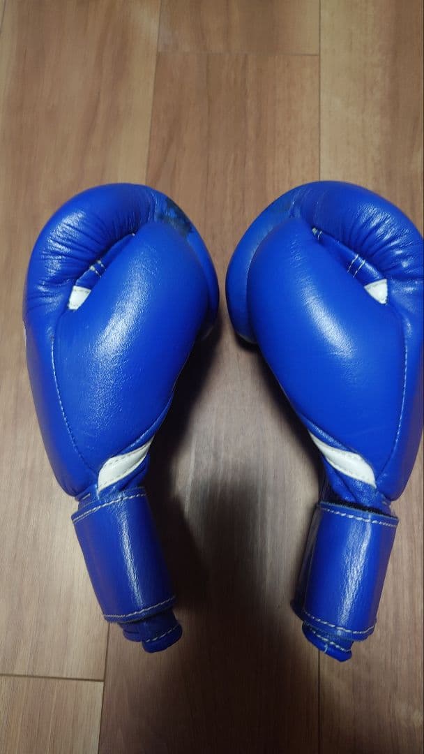 Winning ボクシンググローブ 10 oz 青