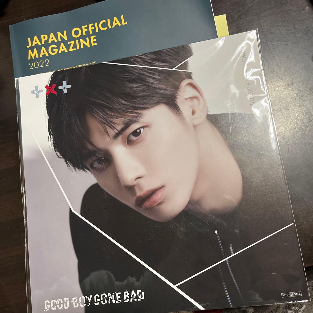 TXT ペンライト うちわ メモリーズ シーグリ デコキット アルバムまとめ売り