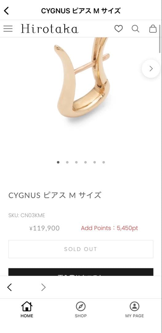 Hirotaka CYGNUS ピアス M サイズ
