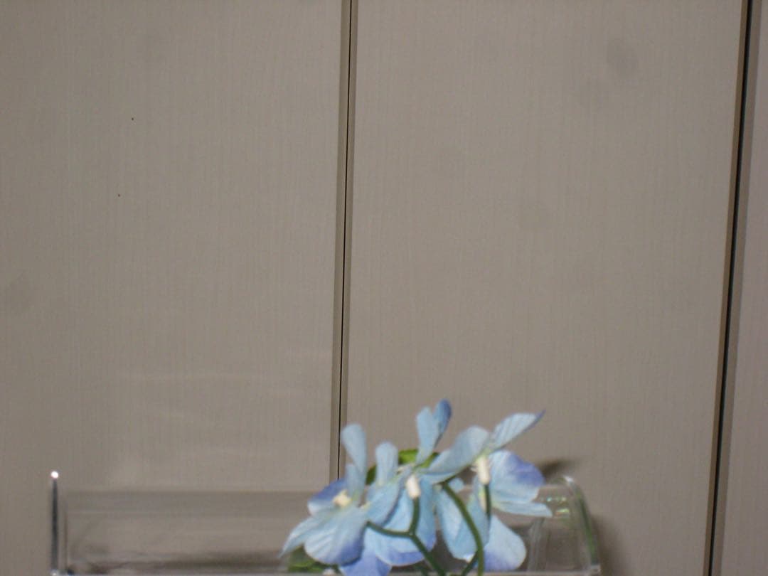 Canon カメラ　IXY 900IS PC1209 充電器 コンデジ　訳あり