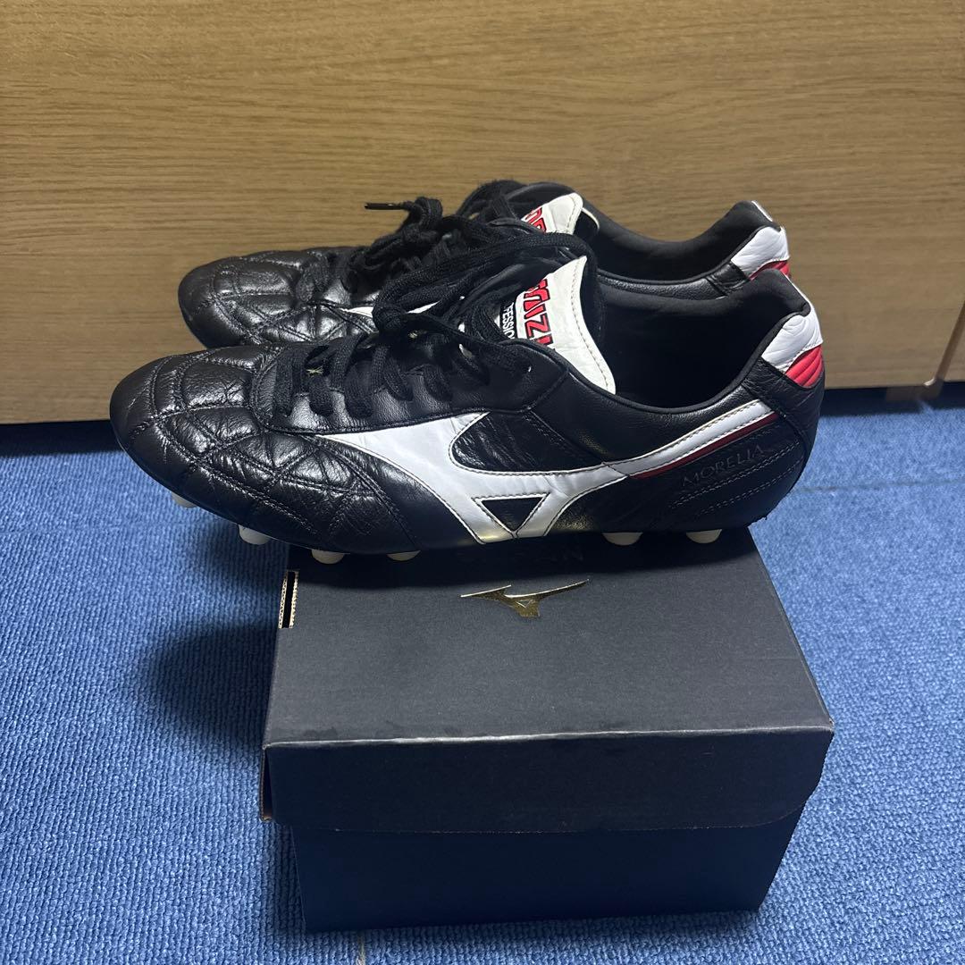 モレリア2JAPANクロスステッチ