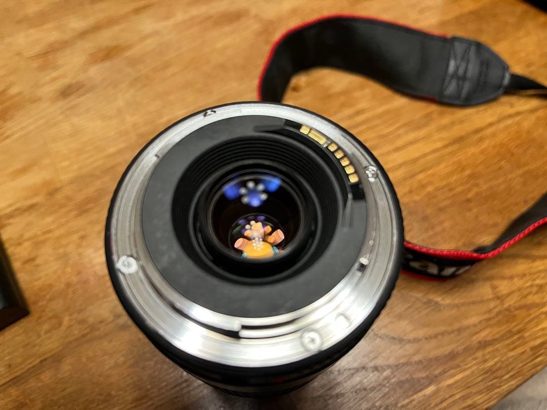 Canon EOS 5D Mark 4 + EF 75-300mm USMレンズ