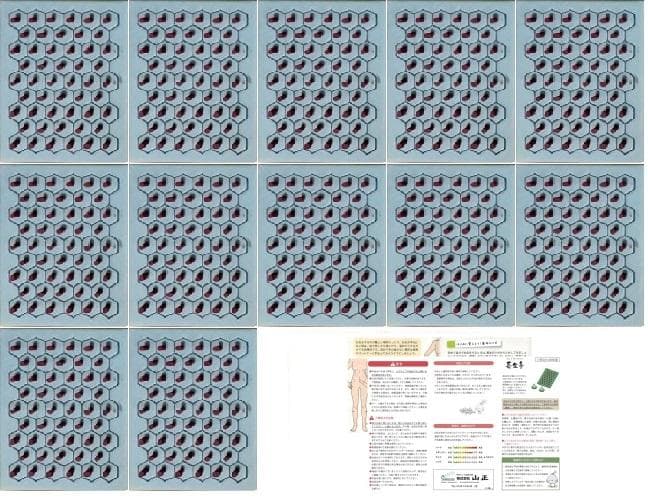 長生灸 お灸日和　600壮（箱なし）微煙　使用説明書、ツボ冊子付
