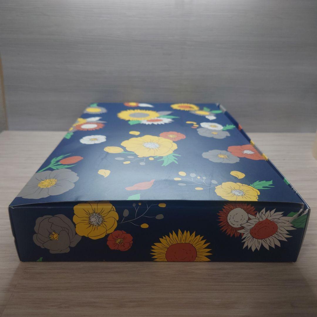 囚われのパルマ メモリアルBOX memorial カプコン