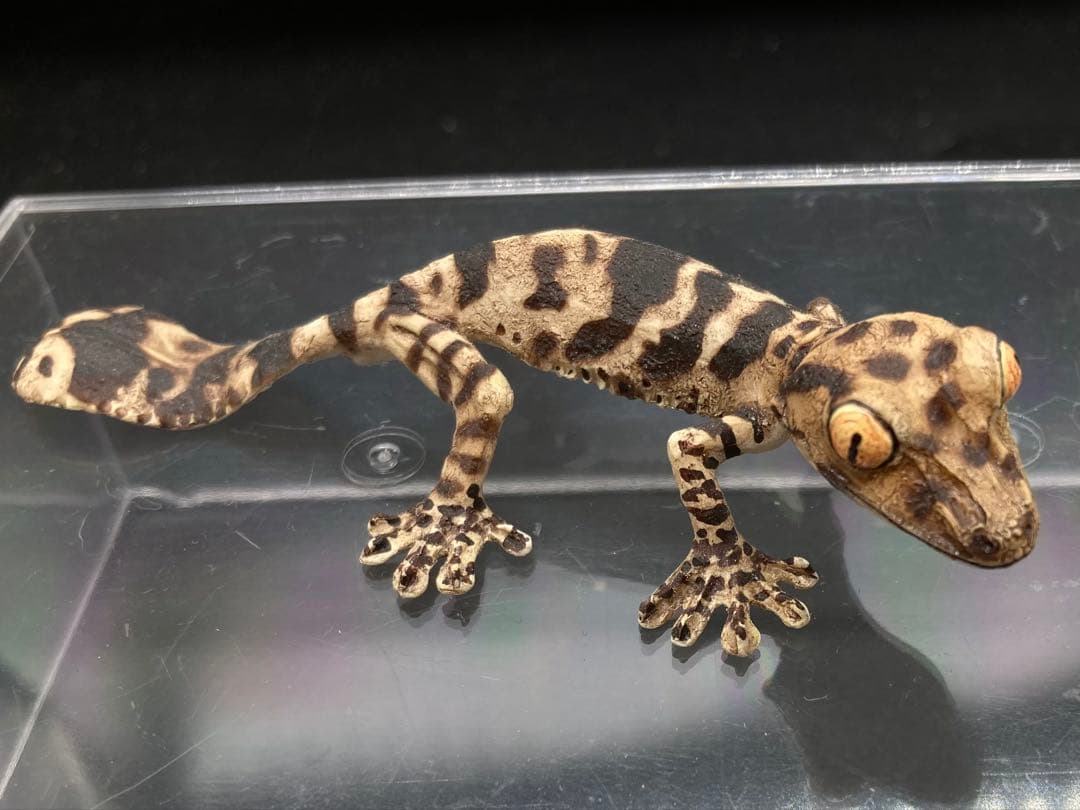 動物 生き物フィギュア ガレージキット 塗装済み完成品 19体セット