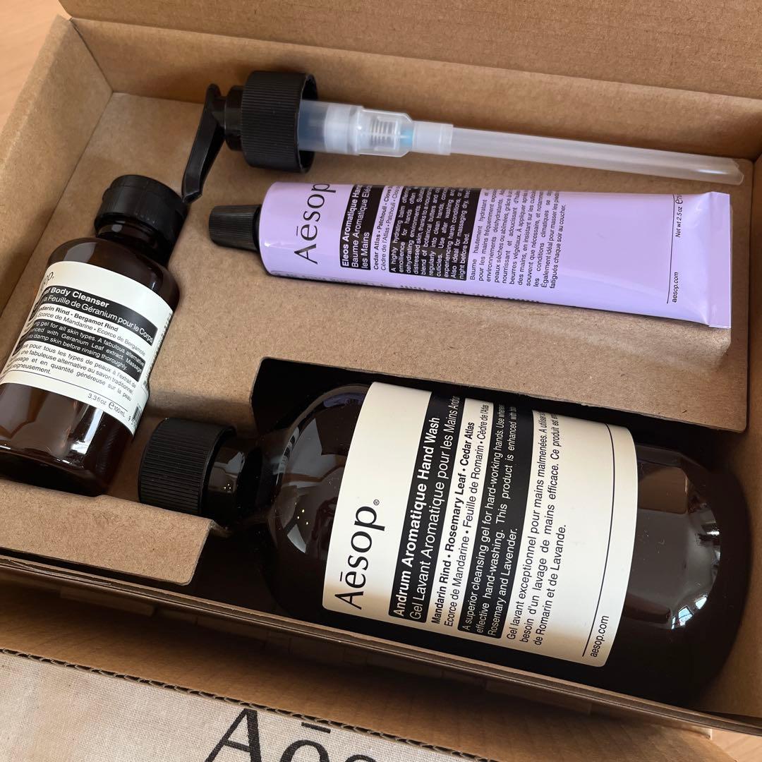お値下げ　巾着付き　新品　Aesopイソップ　ギフトキット スクリーン3