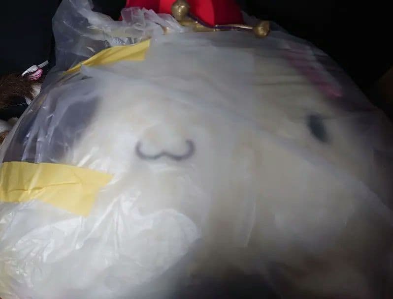 キングぱんにゃ