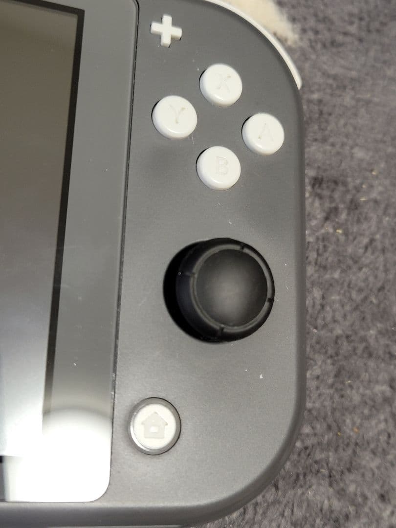 Nintendo Switch Nintendo Switch Light