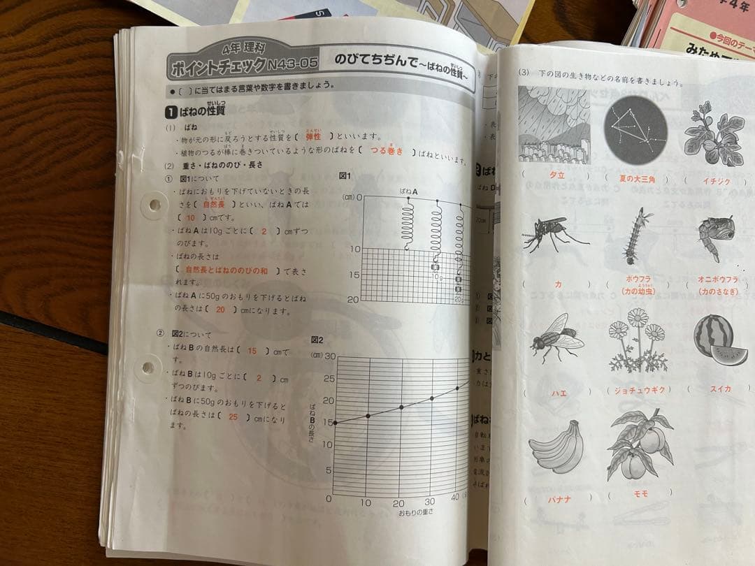 SAPIX 4年 理科 一年分 フルセット2015年 デイリースプリングサマー