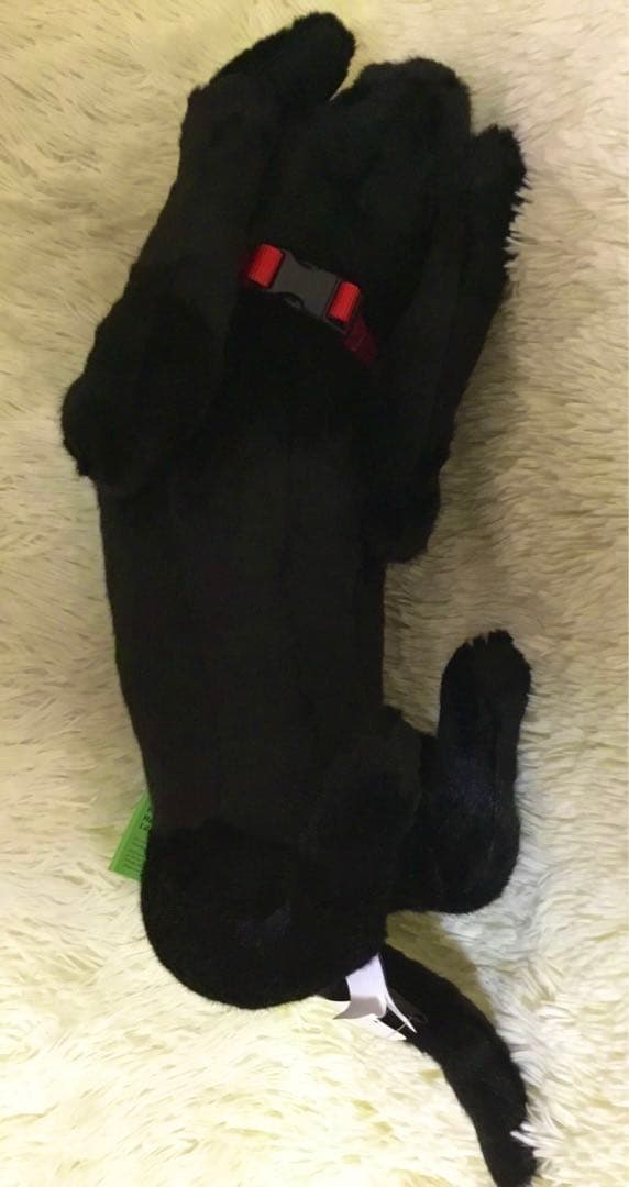 希少◆新品 DITZ ディッツ DitzDesing ハルモニア 犬 ぬいぐるみ