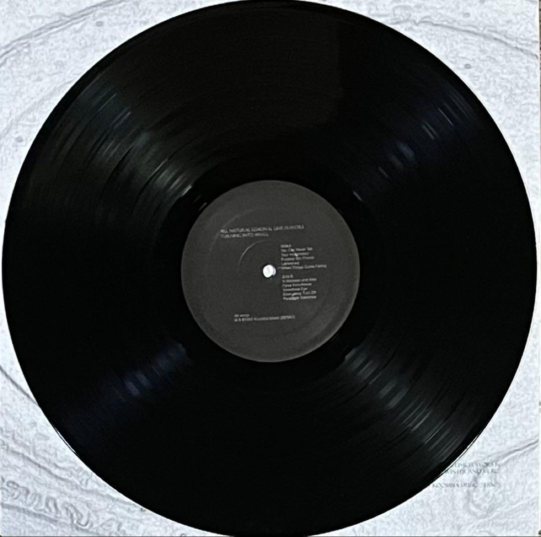 ALL NATURAL LEMON ＆ LIME FLAVORS シューゲイザー