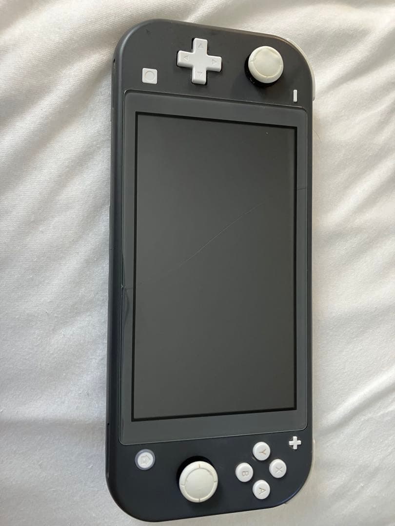 その他 Switch Light