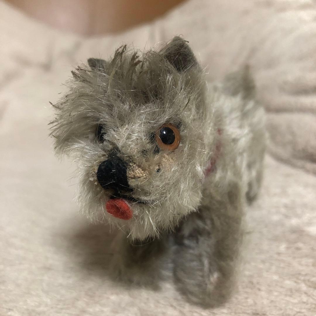 シュタイフ　シュナウザー　可愛い