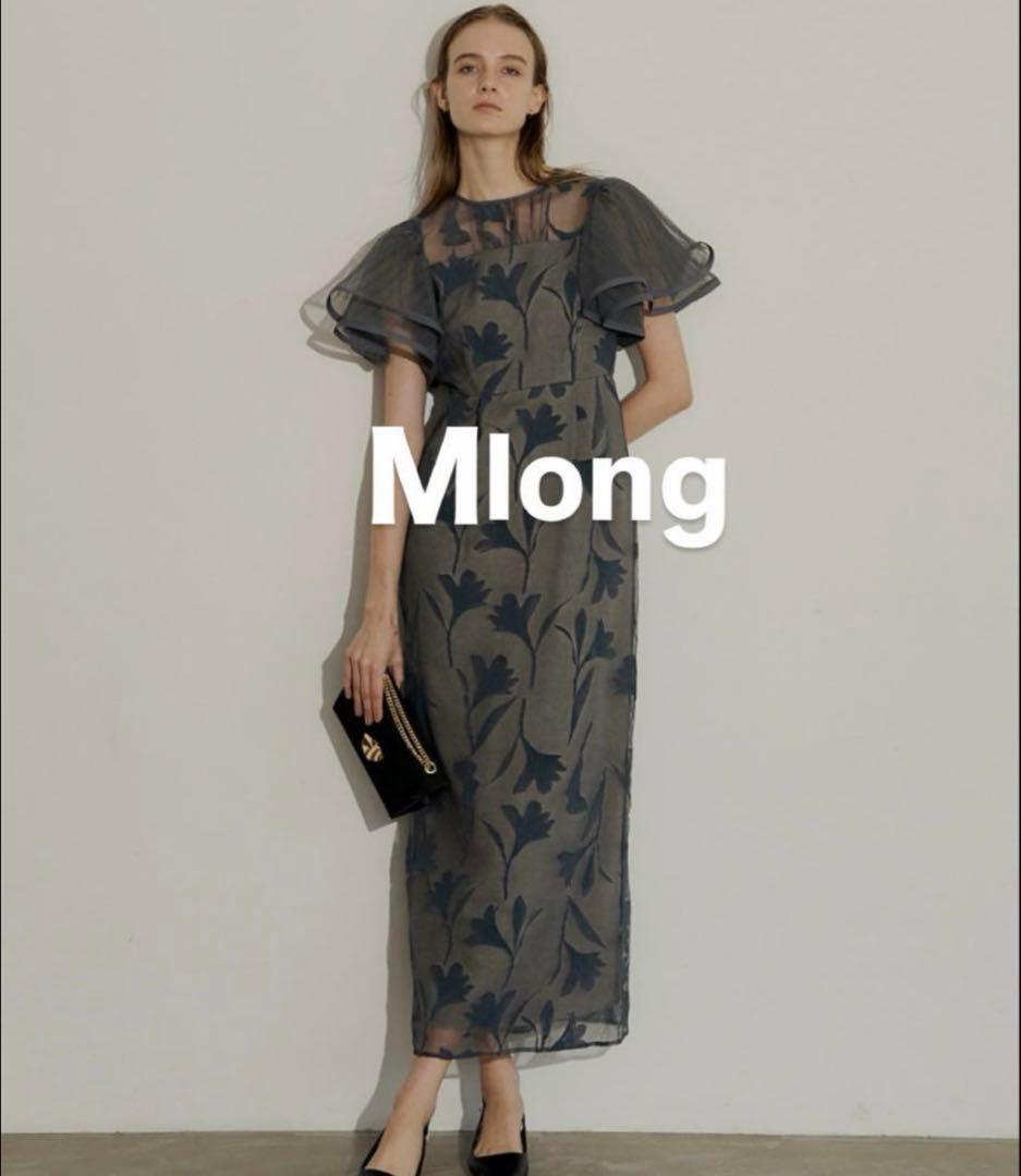 【24時間限定お値下げ中】リルアー　LERURE ドレス　Mlong